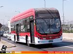 Red de Movilidad Metropolitana, Bus En Prueba | Marcopolo Attivi - Golden Dragon Bus Electrico