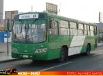 Maxibus Dolphin / Mercedes Benz OH-1418 / Buses Vule S.A.