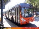 Troncal 406 Express | Marcopolo Gran Viale - Scania K230UB