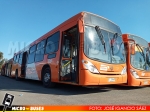 Troncal 4 Express | Marcopolo Gran Viale - Volvo B290R LE
