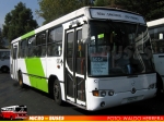 Marcopolo Viale / Mercedes Benz OH-1420 / Buses Metropolitana S.A