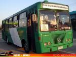Metalpar Petrohue Ecologico / Mercedes Benz OF-1318 / Buses Nuevo Milenio