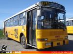 Linea 128 | Dimex Casa Bus - Dina 654-210