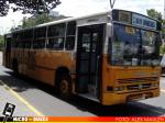 Linea 206 | Busscar Urbanus - Volvo B58