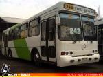 Linea 242 | Carrocerias Menabus Bus 97' - Mercedes Benz OH-1420
