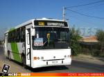 Linea 44-1 | Marcopolo Torino GV - Mercedes Benz OHL-1320