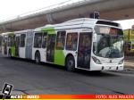 Linea 101 Santiago | Marcopolo Gran Viale - Volvo B9Salf