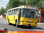 Dimex Casa Bus / 654-210 / Linea 125