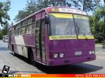 Linea 366 Santiago | Inrecar Bus 99' - Mercedes Benz OH-1420