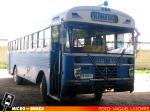 Particular | Blue Bird Bus 88' - Mercedes Benz LPO-1113