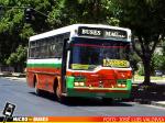 Buses Magal, San Felipe | Sport Wagon Festival - Mercedes Benz OF-1115