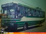 Buses Dhino`s | Metalpar Petrohue Ecologico Rural - Mercedes Benz OF-1318