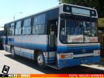 Buses Herrera, San Vicente de T.T. | Marcopolo Torino - Mercedes Benz OF-1115