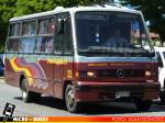 Buses Hualpen, Concepcion | Marcopolo Senior GIV Ejecutivo - Mercedes Benz LO-812