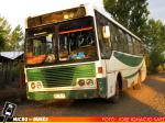 Bus Rural Monte Blanco | Metalpar Petrohue Ecologico - Mercedes Benz OF-1318