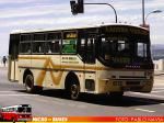 Ciferal GLS Bus / Mercedes Benz OF-1318 / Sol de Reñaca