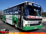 Thamco Scorpion / Mercedes Benz OF-1115 / Buses Coinco