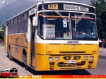 Ciferal Padron GLS / Mercedes Benz OH-1420 / Linea 417
