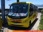 Buses Combarbala, La Calera | Busscar Micruss Ejecutivo - Mercedes Benz LO-914