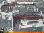 Buses Cerro Baron | Franklin Futura - Ford 60' / Especial Mibusquinta+