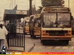 Panoramica Microbuses | Micros Amarillas - Corredor Av. Grecia Años 90's